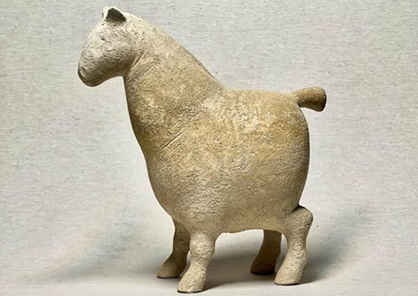 Ігор Береза «Маленький коник»