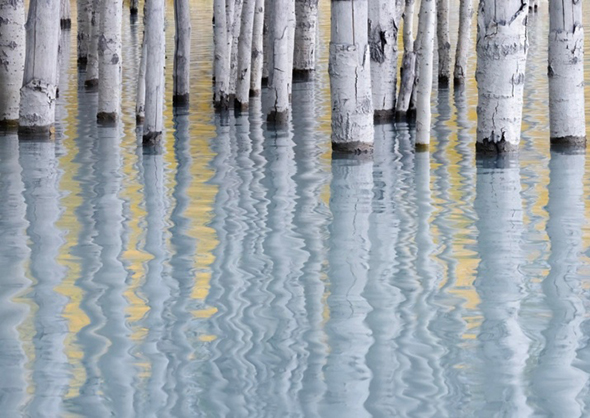 знимка Ендрю Мельжинського