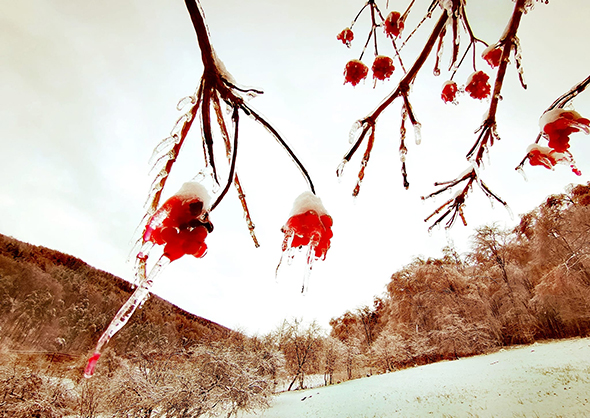 знимка Влодка Маковецького