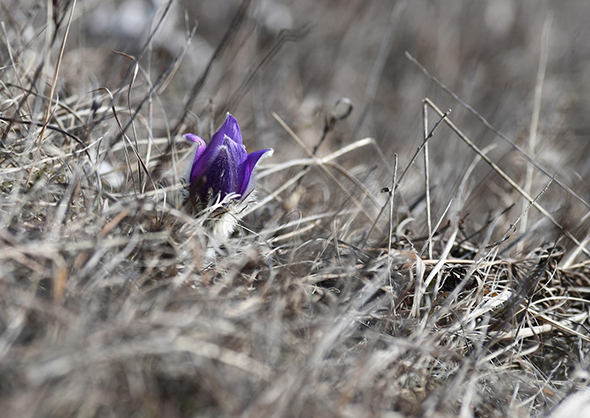 знимка Влодка Маковецького